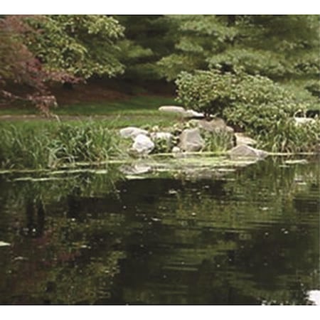 Precision Jet Black Pond Dye, PK6 430-WS